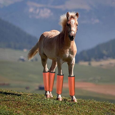 Horse Fly Boots, Fly Boots for Horses Set of 4, Breathable Mesh Horse Leggins Reduce Stomping & Foot Fatique Pet Supplies (4 Pack/Blue) in Saudi Arabia