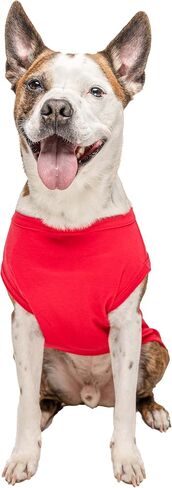 Big Brother to My Little Human Dog Tee Shirt Sizes for Puppies, Toys, and Large Breeds (Red, X-Large 167) in Kuwait