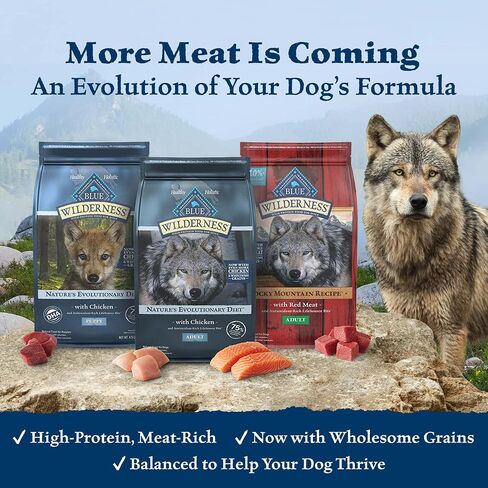 Blue Buffalo Wilderness Adult High-Protein Dry Dog Food with Real Salmon, Grain-Free, Made in the USA with Natural Ingredients, Salmon, 4.5-lb. Bag in Saudi Arabia