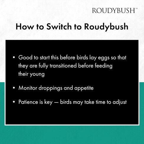 Roudybush Low Fat Bird Food, Mini, 10-Pound in Saudi Arabia