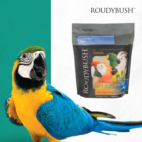 Roudybush Low Fat Bird Food, Mini, 10-Pound in Saudi Arabia