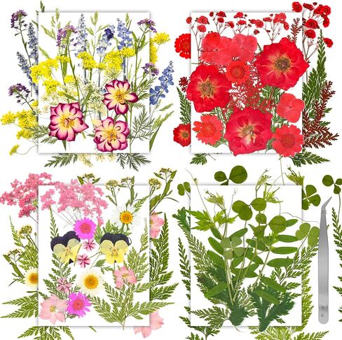 Dried Pressed Flowers for Crafts Resin,4 Sheets Real Nature Dry Flowers Set with Tweezer for DIY Art Crafts Jewelry, Epoxy Molds, Soap Candle Making, Nails Decors in Saudi Arabia