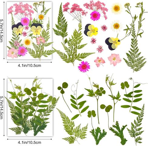 Dried Pressed Flowers for Crafts Resin,4 Sheets Real Nature Dry Flowers Set with Tweezer for DIY Art Crafts Jewelry, Epoxy Molds, Soap Candle Making, Nails Decors in Saudi Arabia