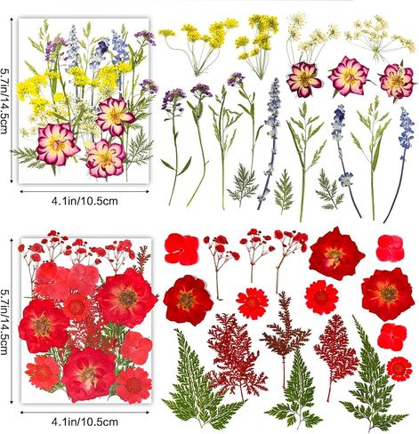 Dried Pressed Flowers for Crafts Resin,4 Sheets Real Nature Dry Flowers Set with Tweezer for DIY Art Crafts Jewelry, Epoxy Molds, Soap Candle Making, Nails Decors in Saudi Arabia