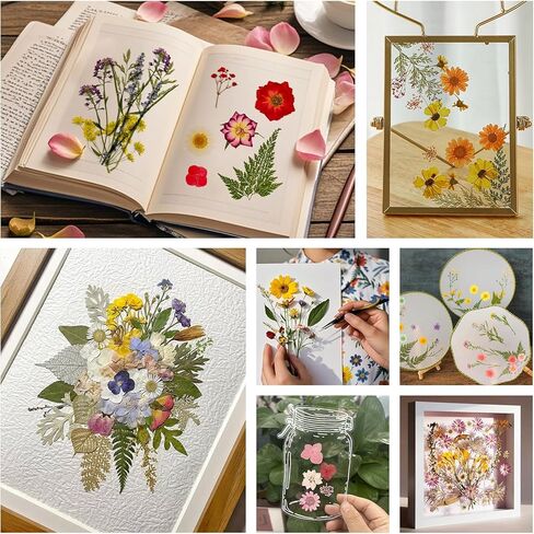 Dried Pressed Flowers for Crafts Resin,4 Sheets Real Nature Dry Flowers Set with Tweezer for DIY Art Crafts Jewelry, Epoxy Molds, Soap Candle Making, Nails Decors in Saudi Arabia