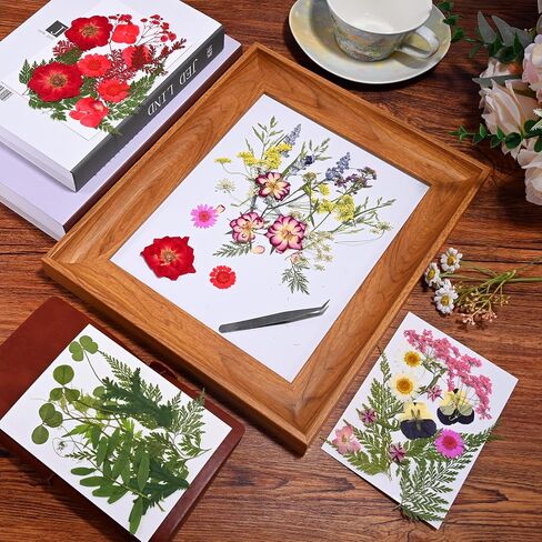 Dried Pressed Flowers for Crafts Resin,4 Sheets Real Nature Dry Flowers Set with Tweezer for DIY Art Crafts Jewelry, Epoxy Molds, Soap Candle Making, Nails Decors in Saudi Arabia