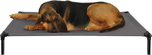 Starmark Dog Zone Bed Medium Sky Blue in Saudi Arabia