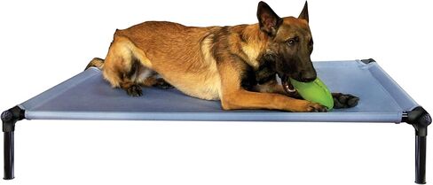 Starmark Dog Zone Bed Medium Sky Blue in Saudi Arabia