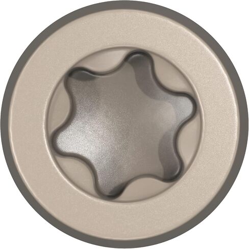CAMO Composite Deck Screws 2-1/2" #10 ProTech (Brown, 350 ct) in Saudi Arabia