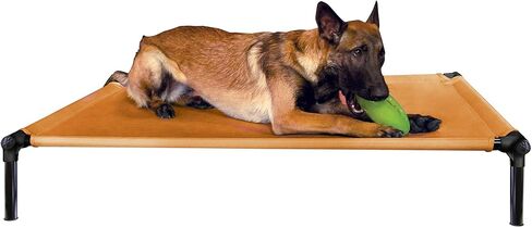 Starmark Dog Zone Bed Medium Sky Blue in Saudi Arabia