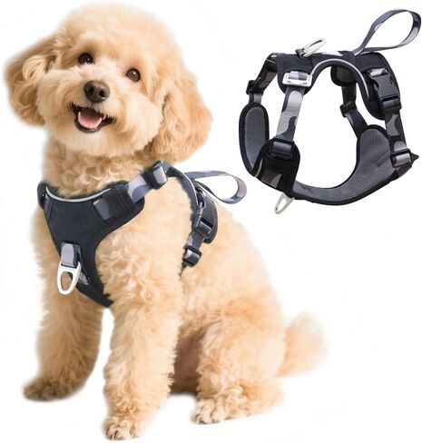 تسخير الكلب بدون شد مع حلقات D الأمامية والخلف ، و 600D Rebellent 600D Oxford للتنزه/التدريب/المشي ، والسترة القابلة للتعديل ، وأجهزة الألومنيوم خفيفة الوزن مناسبة للكلاب متوسطة الحجم ، والبرتقال التمويه ، والبرتقال. in Kuwait