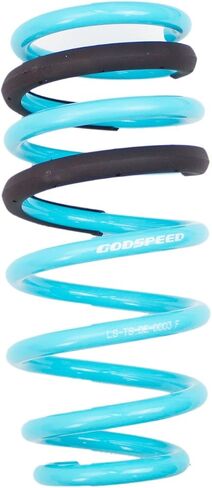 Godspeed LS-TS-DE-0003-C TRACTION SPRINGS SPRINGS لـ DODGE ARCHER R/T SRT (LD) RWD W/O NIVOMAT 2015-21 in Saudi Arabia