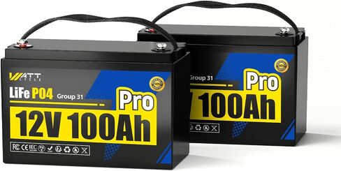 بطارية LIFEPO4 الليثيوم 12V 100AH ، استخدم خلية EV من الدرجة A+ ، BUIT -IN 100A BMS ، حماية منخفضة درجة الحرارة ، ما يصل إلى 15000 دورة -مثالية لـ RV ، نظام الطاقة الشمسية ، محرك التصيد ، إلخ. in Kuwait