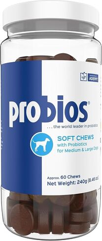 Vet Plus 45 Count Probios Digestive Dog Tablet in Kuwait
