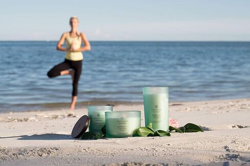 شمعة خليج تشيسابيك® إسكيب + اكتشف الجرة المتوسطة in Kuwait