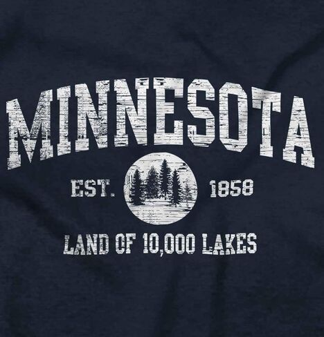 Classic Teaze Florida the Sunshine State Pride Est. Sweatshirt for Men or Women in Kuwait