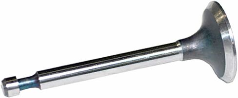 Raparts يناسب نماذج Kohler 235008S صمام الاستحقاقات in Saudi Arabia
