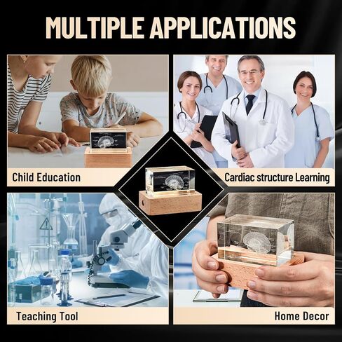 eLabPal 3D Human Tooth Model, Crystal Glass, Dentists Gifts, Wood Base with Yellow Light, Great Gift for Home and Office Decoration (2x2x3.15 inch) in Saudi Arabia