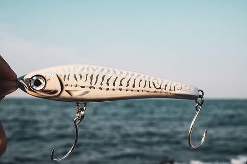 Rapala X-Rap Magnum Stick 17 Anchovy in Saudi Arabia