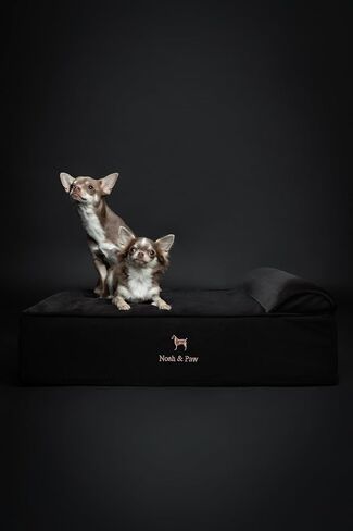 NOAH & PAW Small Dog Bed, 20x15x8 Inch, Cat Bed for Indoor Cats, Orthopedic Eggshell Memory Foam Infused with Cooling Gel, Waterproof, Machine Washable, Includes Inner Cover (Denim Collection) in Kuwait