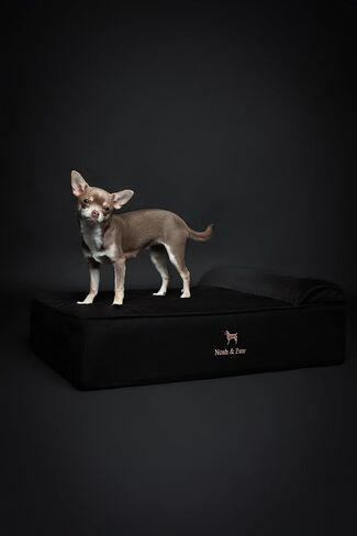NOAH & PAW Small Dog Bed, 20x15x8 Inch, Cat Bed for Indoor Cats, Orthopedic Eggshell Memory Foam Infused with Cooling Gel, Waterproof, Machine Washable, Includes Inner Cover (Denim Collection) in Kuwait
