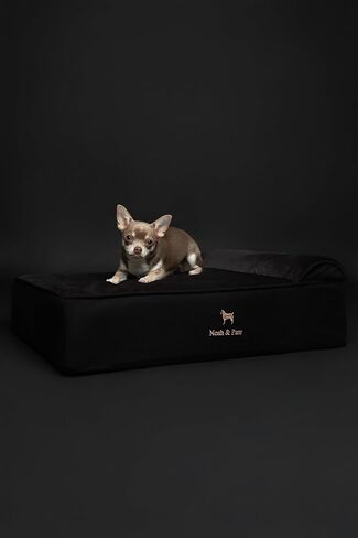 NOAH & PAW Small Dog Bed, 20x15x8 Inch, Cat Bed for Indoor Cats, Orthopedic Eggshell Memory Foam Infused with Cooling Gel, Waterproof, Machine Washable, Includes Inner Cover (Denim Collection) in Kuwait