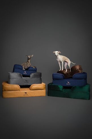 NOAH & PAW Small Dog Bed, 20x15x8 Inch, Cat Bed for Indoor Cats, Orthopedic Eggshell Memory Foam Infused with Cooling Gel, Waterproof, Machine Washable, Includes Inner Cover (Denim Collection) in Kuwait