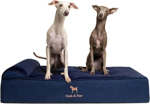 NOAH & PAW Small Dog Bed, 20x15x8 Inch, Cat Bed for Indoor Cats, Orthopedic Eggshell Memory Foam Infused with Cooling Gel, Waterproof, Machine Washable, Includes Inner Cover (Denim Collection) in Kuwait