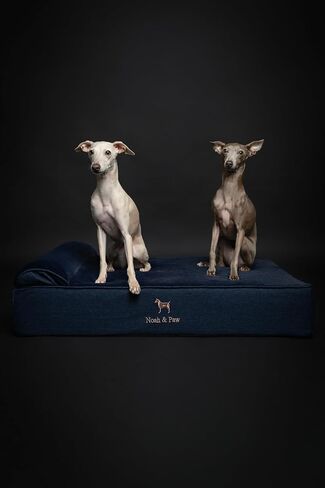 NOAH & PAW Small Dog Bed, 20x15x8 Inch, Cat Bed for Indoor Cats, Orthopedic Eggshell Memory Foam Infused with Cooling Gel, Waterproof, Machine Washable, Includes Inner Cover (Denim Collection) in Kuwait