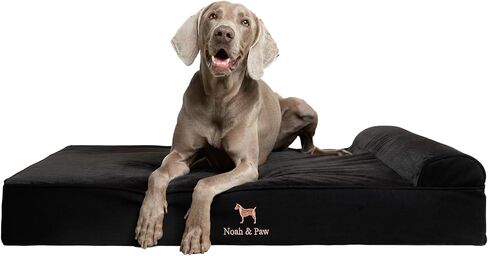 NOAH & PAW Small Dog Bed, 20x15x8 Inch, Cat Bed for Indoor Cats, Orthopedic Eggshell Memory Foam Infused with Cooling Gel, Waterproof, Machine Washable, Includes Inner Cover (Denim Collection) in Kuwait