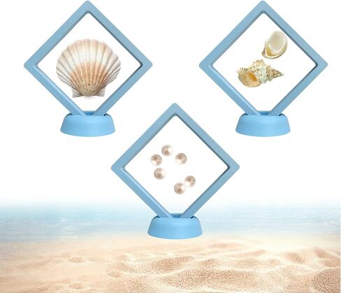3 Pcs Seashell Holder 3D Floating Display Case, Challenge Coin Display Stand, Jewelry Display Box with Base, Freestanding Collectible Holder, Used to Showcase Jewelry, Shark Teeth, Etc(Light Blue) in Kuwait