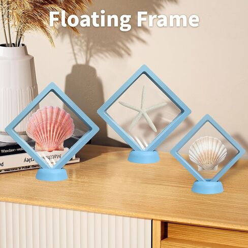 3 Pcs Seashell Holder 3D Floating Display Case, Challenge Coin Display Stand, Jewelry Display Box with Base, Freestanding Collectible Holder, Used to Showcase Jewelry, Shark Teeth, Etc(Light Blue) in Kuwait