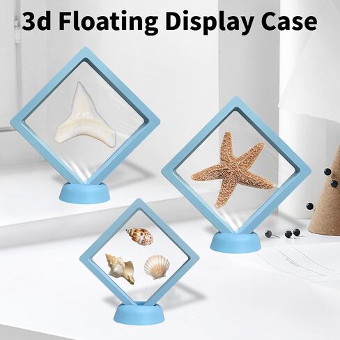 3 Pcs Seashell Holder 3D Floating Display Case, Challenge Coin Display Stand, Jewelry Display Box with Base, Freestanding Collectible Holder, Used to Showcase Jewelry, Shark Teeth, Etc(Light Blue) in Kuwait