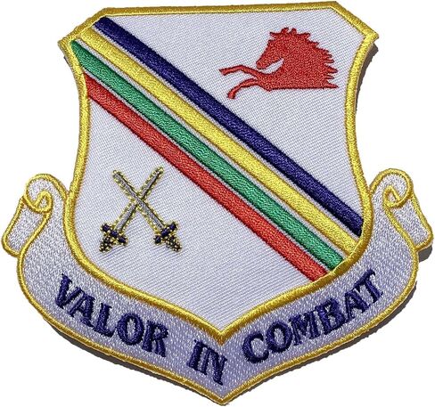 Valor in Combat 354th Fighter Wing Patch – Plastic Backing in Saudi Arabia