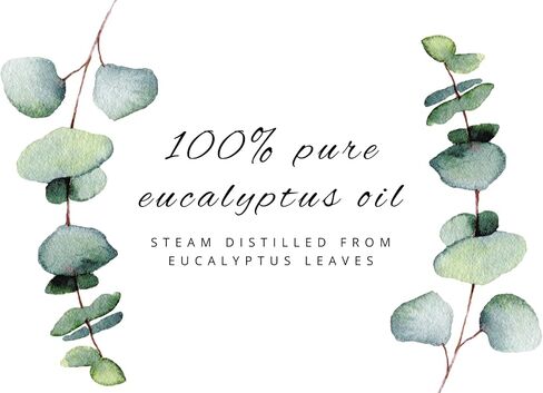Lemongrass Oils Oil - 32 Oz Oz (946 ml) زجاجة الألومنيوم مع غطاء المكونات - 100 ٪ من الزيت الأساسي النقي - GreenHealth in Saudi Arabia