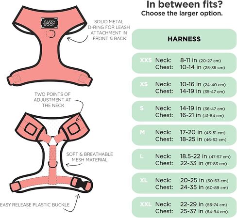 Polly Pocket™ Dog Leash 60-Inch with Neoprene Padded Handle - Comfortable, Durable, and Stylish for Small to Large Dogs - Officially Licensed in Kuwait