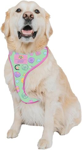 Polly Pocket™ Dog Leash 60-Inch with Neoprene Padded Handle - Comfortable, Durable, and Stylish for Small to Large Dogs - Officially Licensed in Kuwait