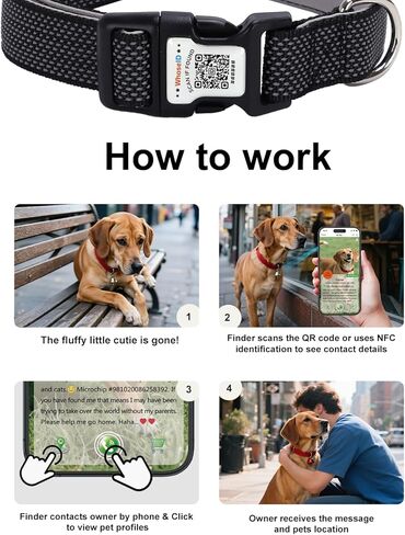 طوق الكلب العاكس مع حامل الجوية ، طوق الكلب القابل للتعديل مع النيوبرين مبطنة ومضادة لخطأ رمز QR (أسود ، متوسطة) in Kuwait