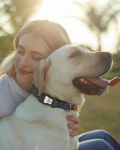 طوق الكلب العاكس مع حامل الجوية ، طوق الكلب القابل للتعديل مع النيوبرين مبطنة ومضادة لخطأ رمز QR (أسود ، متوسطة) in Kuwait