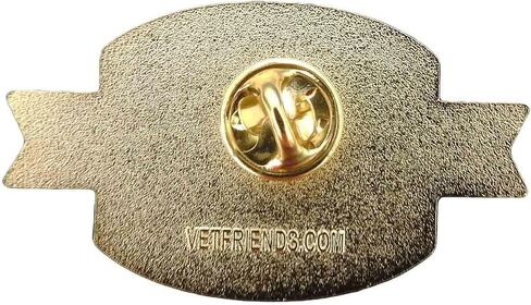 Vietnam Era Veteran Lapel Hat Suit Pin with American Eagle and USA Flag Graphics Vietnam War Memorabilia VetFriends.com Vietnam Vet Pins for Veterans Day in Saudi Arabia