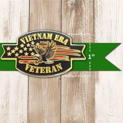 Vietnam Era Veteran Lapel Hat Suit Pin with American Eagle and USA Flag Graphics Vietnam War Memorabilia VetFriends.com Vietnam Vet Pins for Veterans Day in Saudi Arabia