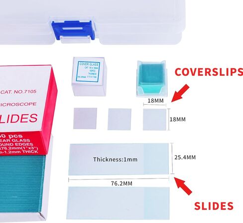 Microscope Slides and Covers, Pre-Cleaned Blank Glass Slides for Microscope Set with 50 Pcs Microscope Slides and 100 Pcs Coverslips, Microscope Slides for School Laboratory Home Education in Saudi Arabia