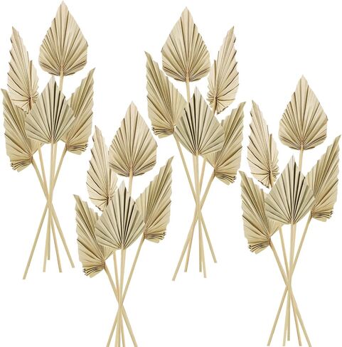 Cenkaiyang 20 Pcs Boho Dried Palm Spears Leaves, Real Palm Fans with Stem, Boho Home Decor for Vase, Wedding, Office, Home (20 Pieces) in Saudi Arabia