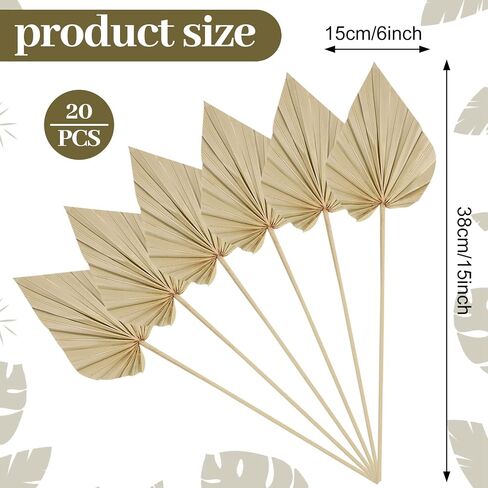 Cenkaiyang 20 Pcs Boho Dried Palm Spears Leaves, Real Palm Fans with Stem, Boho Home Decor for Vase, Wedding, Office, Home (20 Pieces) in Saudi Arabia