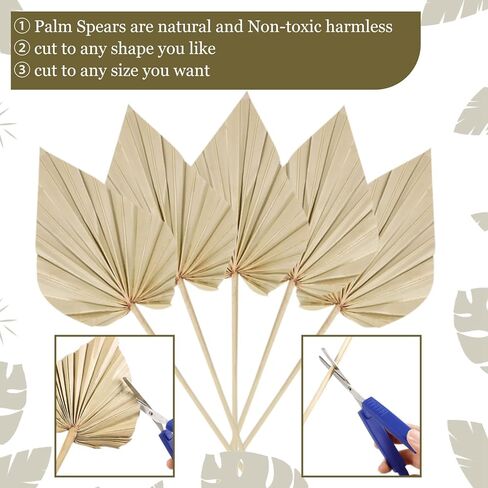 Cenkaiyang 20 Pcs Boho Dried Palm Spears Leaves, Real Palm Fans with Stem, Boho Home Decor for Vase, Wedding, Office, Home (20 Pieces) in Saudi Arabia