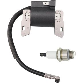 591420 Ignition Coil with Spark Plug for 398593 496914 793281 793295 09I602 09S502 09T502 in Kuwait