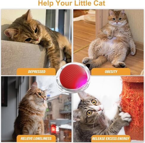 Interactive Cat Toys for Indoor Cats,Self Rolling Cat Ball in Play Mat,Automatic Motion Activated Moving Toy Hide and Seek Chase Game for Bored Cats in Kuwait