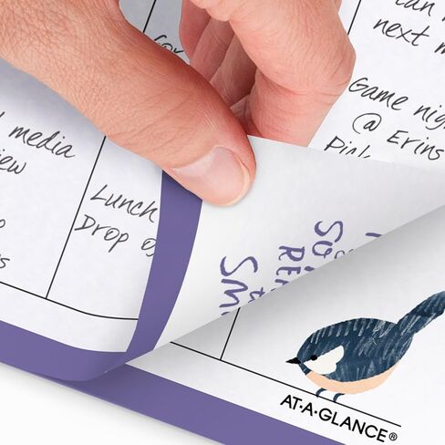 AT-A-GLANCE 2026 Planner Rechill ، أسبوعيًا وشهريًا ، 3.75 "× 6.75" ، الحجم 3 ، الحجم المحمول ، 53122 اليوم ، كاثي ديفيس (KD71-285Y-26) in Kuwait