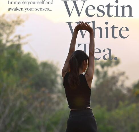 Westin White Tea Reed Diffuser - Home Fragrance Set with Signature White Tea Scent - 5 oz. in Saudi Arabia
