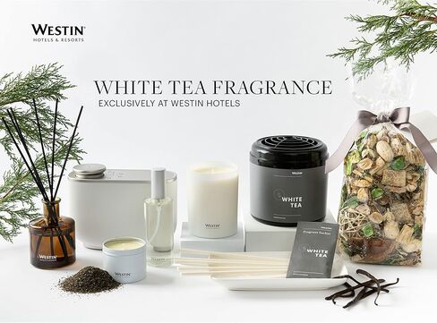 Westin White Tea Reed Diffuser - Home Fragrance Set with Signature White Tea Scent - 5 oz. in Saudi Arabia